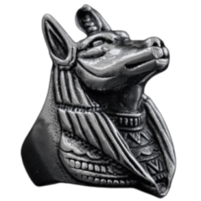 Anubis 2025 ring meaning